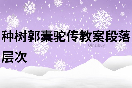種樹郭橐駝傳教案段落層次