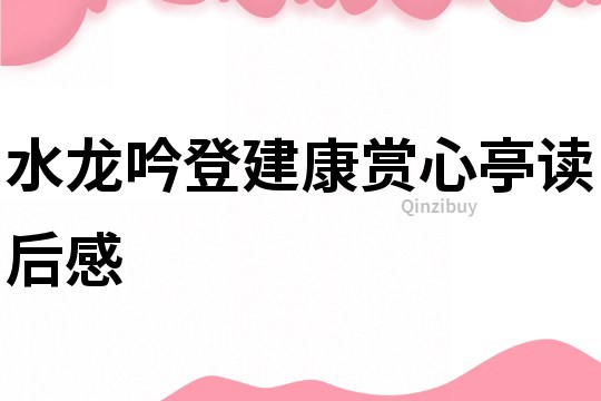水龍吟登建康賞心亭讀后感