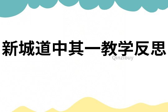 新城道中其一教學反思