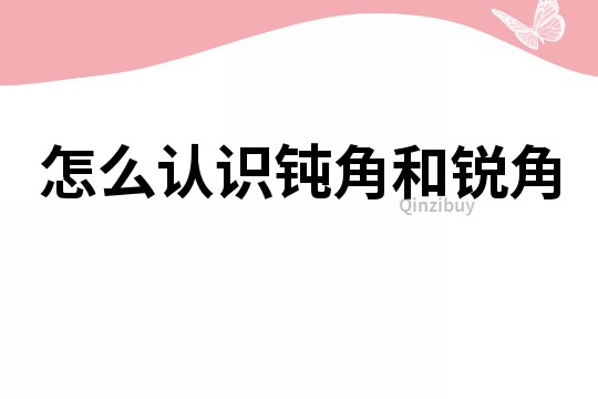 怎么認識鈍角和銳角