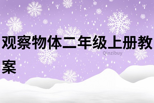 觀察物體二年級上冊教案