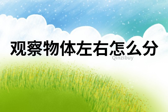 觀察物體左右怎么分