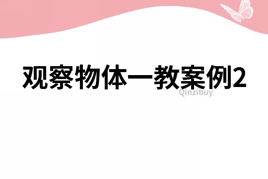 觀察物體一教案例2