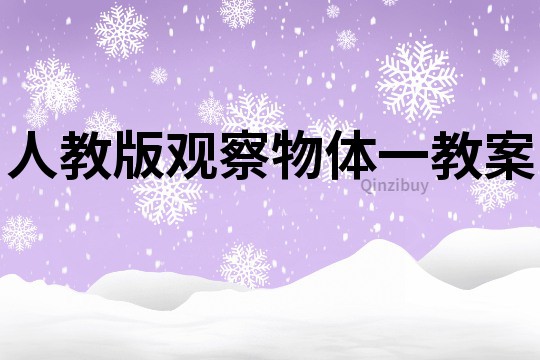 人教版觀察物體一教案