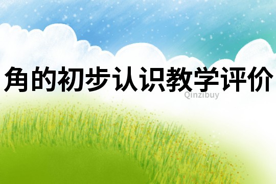 角的初步認識教學評價