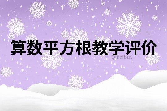 算數平方根教學評價