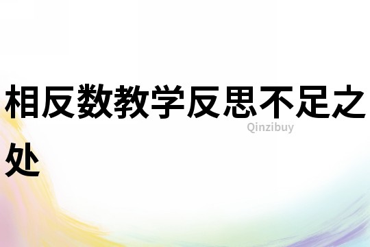 相反數(shù)教學(xué)反思不足之處
