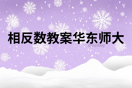 相反數教案華東師大