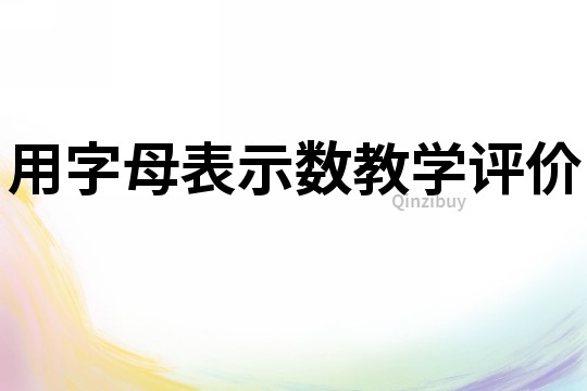 用字母表示數教學評價