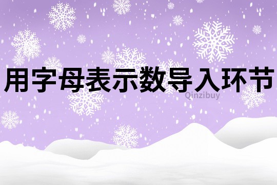 用字母表示數導入環節
