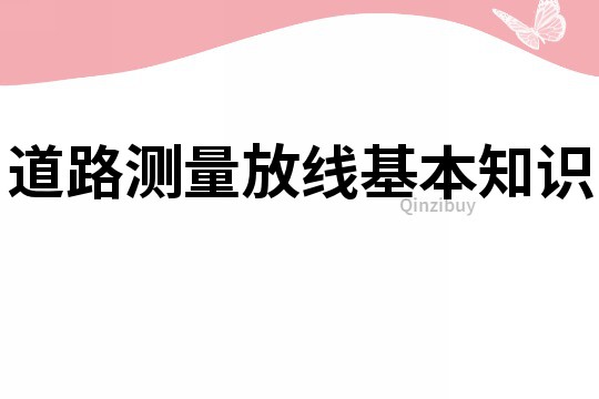 道路測量放線基本知識