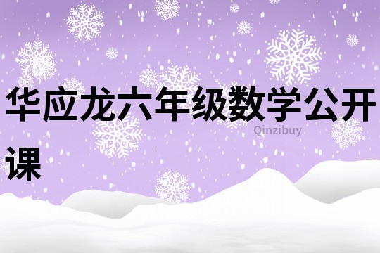 華應龍六年級數學公開課