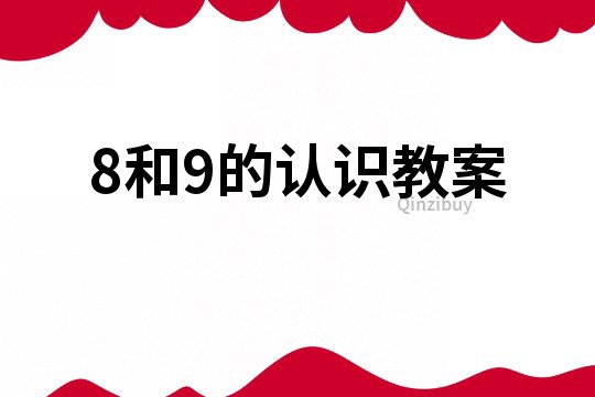 8和9的認(rèn)識教案