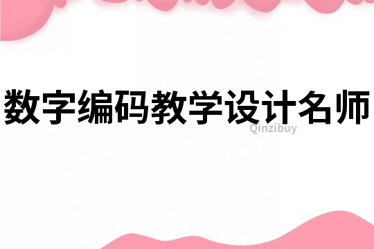數(shù)字編碼教學設計名師