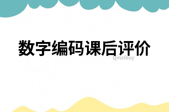 數字編碼課后評價