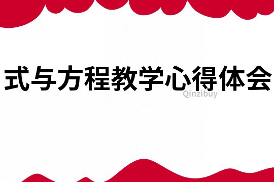 式與方程教學(xué)心得體會