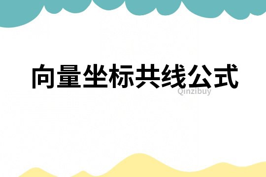 向量坐標共線公式