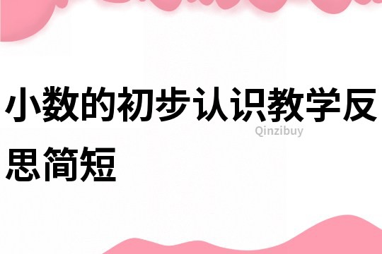 小數的初步認識教學反思簡短