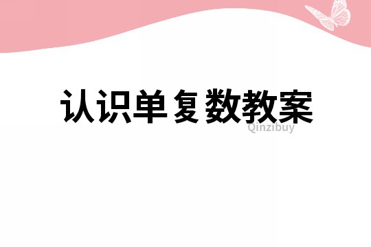 認識單復數教案