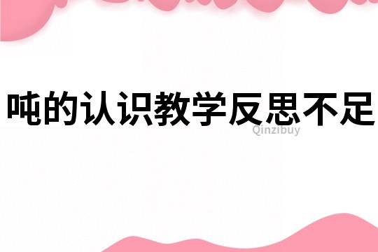 噸的認識教學反思不足