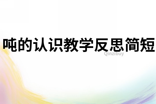 噸的認識教學反思簡短