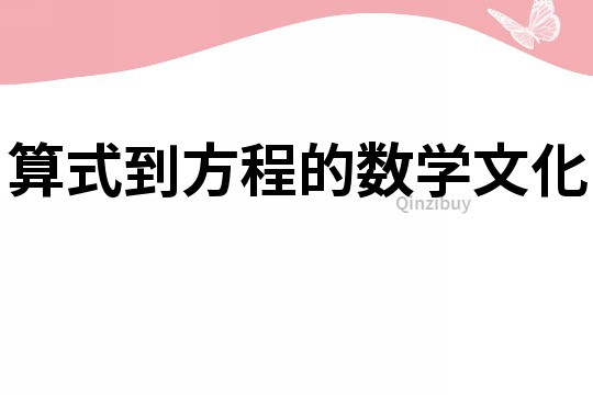 算式到方程的數學文化