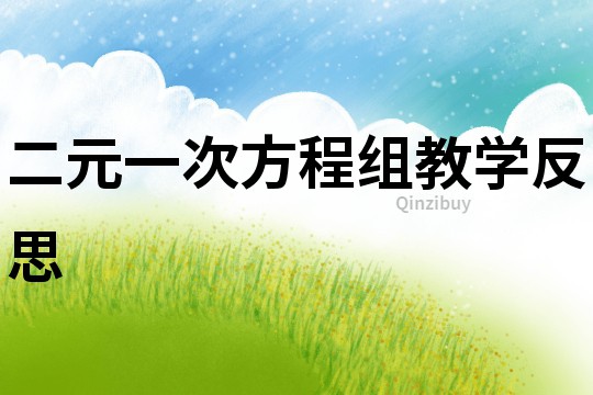二元一次方程組教學(xué)反思