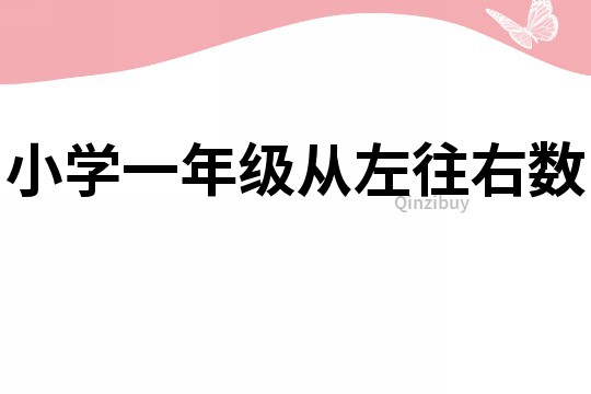 小學(xué)一年級從左往右數(shù)