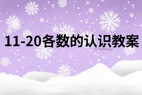 11-20各數的認識教案