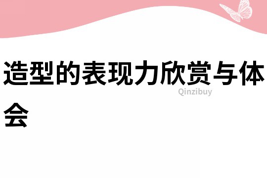 造型的表現(xiàn)力欣賞與體會