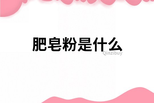 肥皂粉是什么