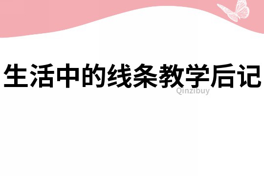 生活中的線條教學后記