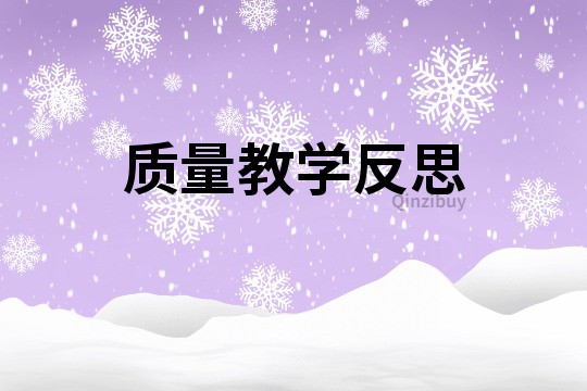 質量教學反思