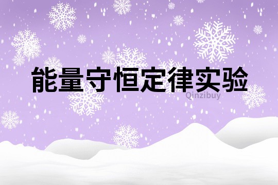 能量守恒定律實驗