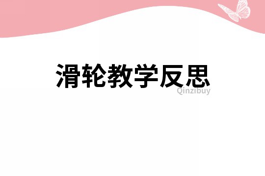 滑輪教學反思