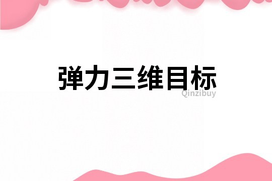 彈力三維目標
