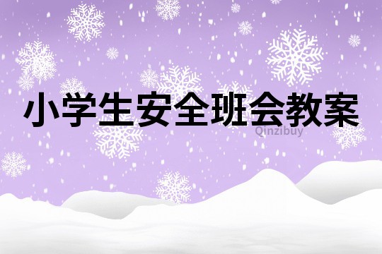 小學(xué)生安全班會(huì)教案
