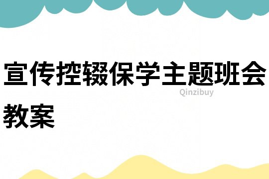 宣傳控輟保學(xué)主題班會(huì)教案