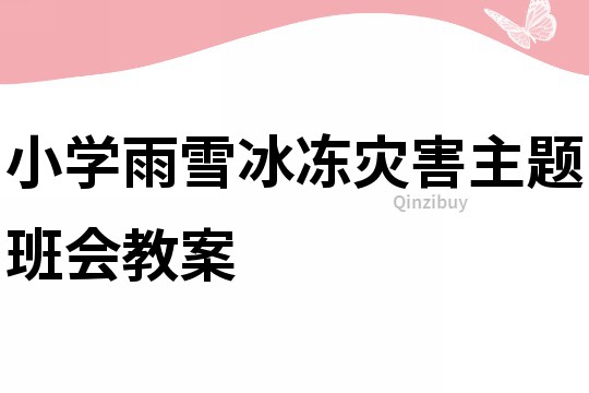 小學雨雪冰凍災害主題班會教案