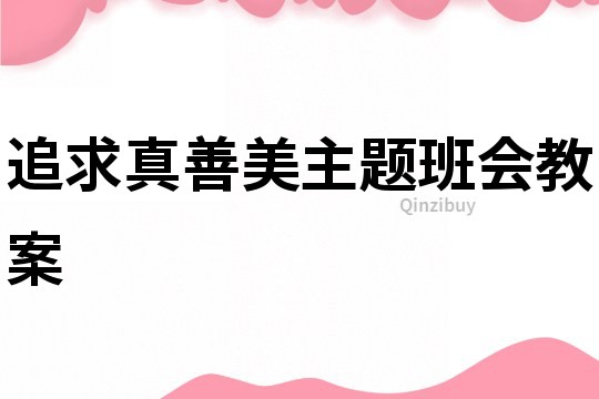 追求真善美主題班會教案