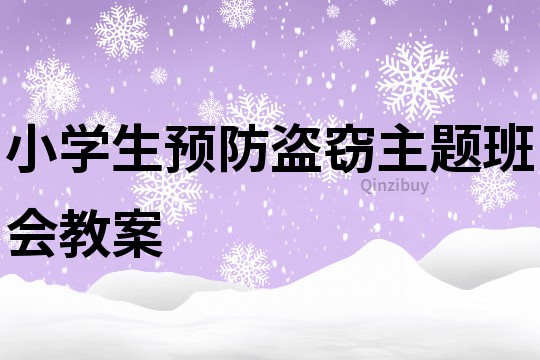小學(xué)生預(yù)防盜竊主題班會教案