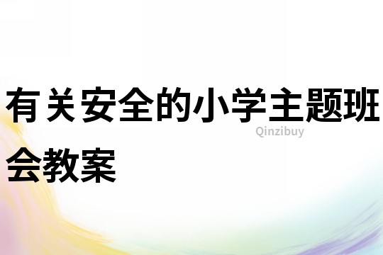 有關安全的小學主題班會教案
