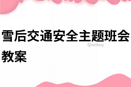 雪后交通安全主題班會教案