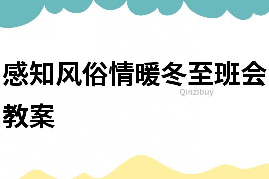 感知風俗情暖冬至班會教案