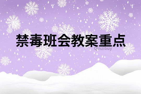 禁毒班會教案重點