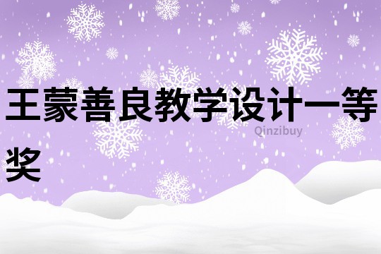 王蒙善良教學設計一等獎