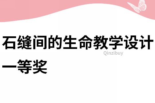 石縫間的生命教學設計一等獎