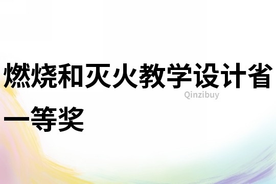 燃燒和滅火教學設計省一等獎