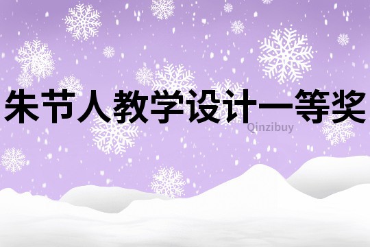 朱節人教學設計一等獎