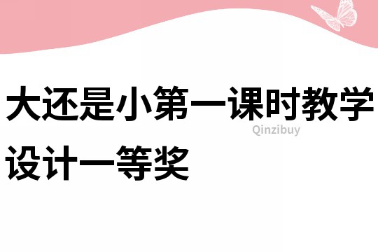 大還是小第一課時教學設計一等獎